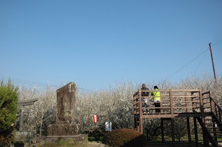 20140213-2